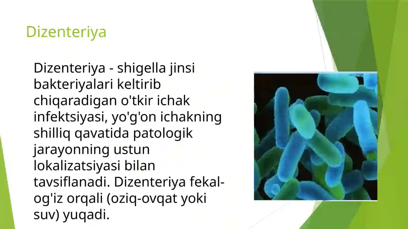 Ichakinfeksiyalari 2