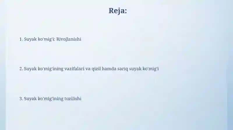 Suyak ko'migi 2