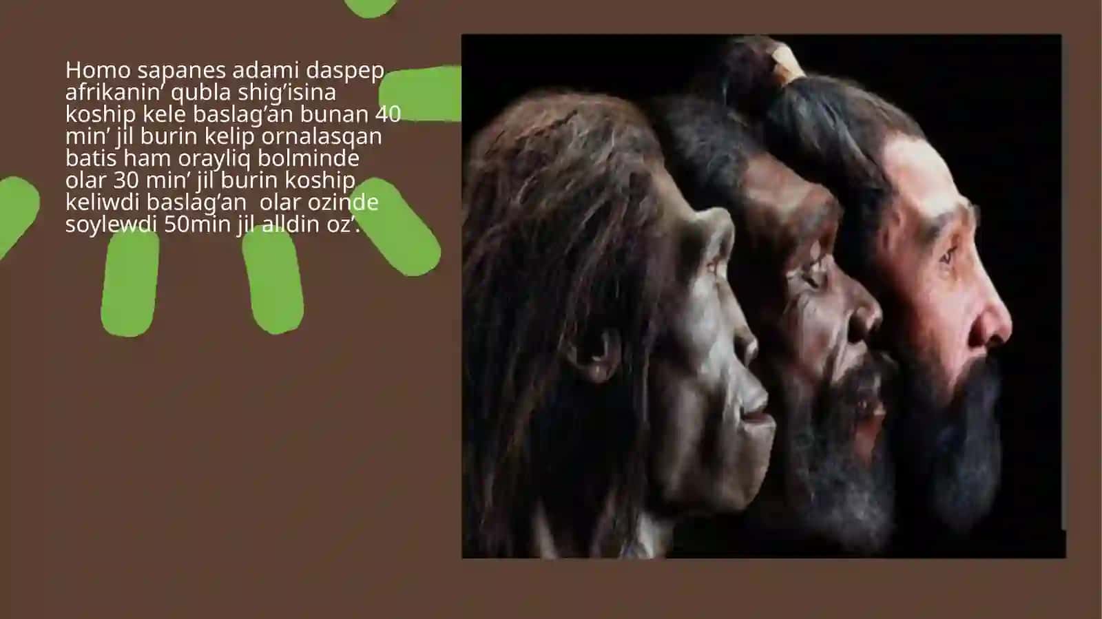 Homo sapanes 2