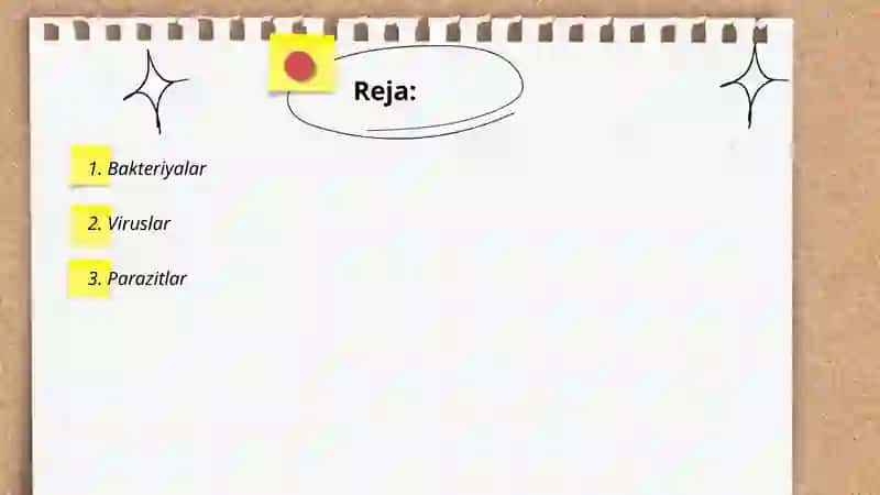 Bakteriyalar 2