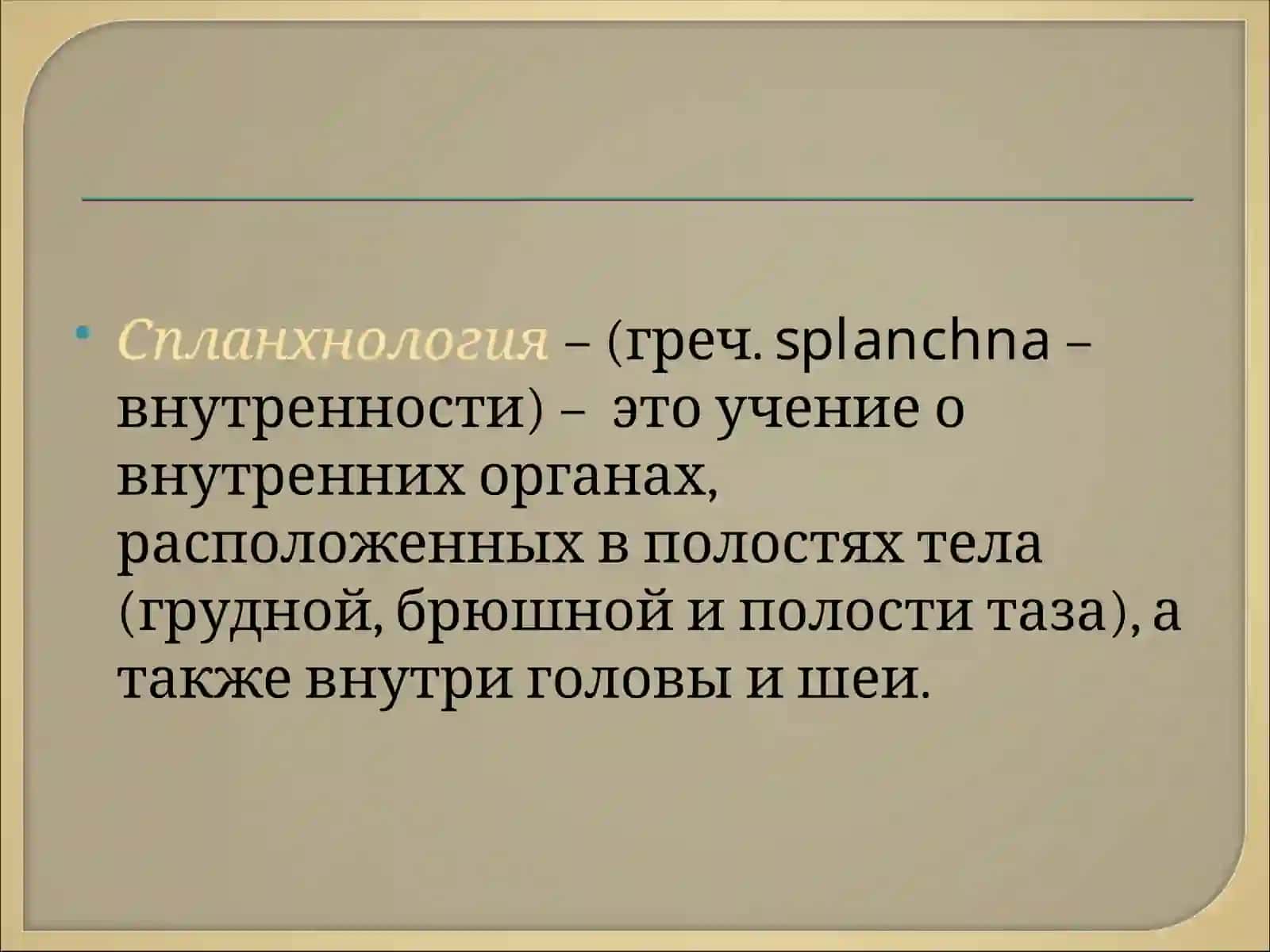 Спланхнология 2