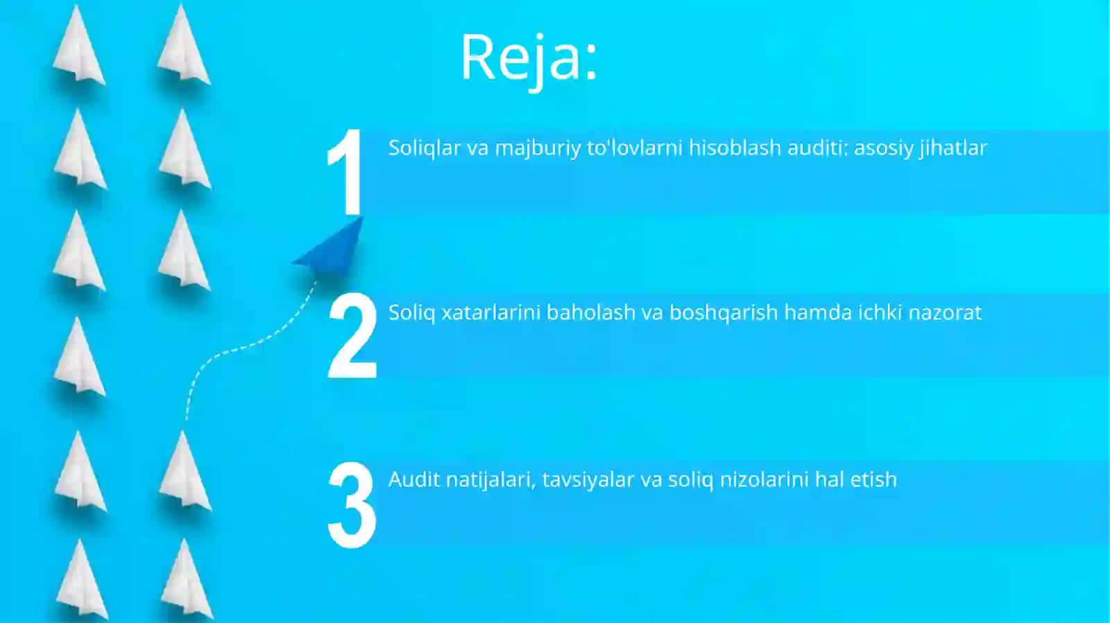 Soliqlar va Majburiy To'lovlarni Hisoblash Auditi 2
