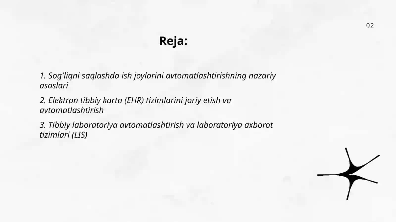 Tibbiyotda ishchi o'rinlarni avtomatlashtirish va tibbiy masalalarni yechishda axborot texnalogiyalari. Dasturiy ta'minot 2