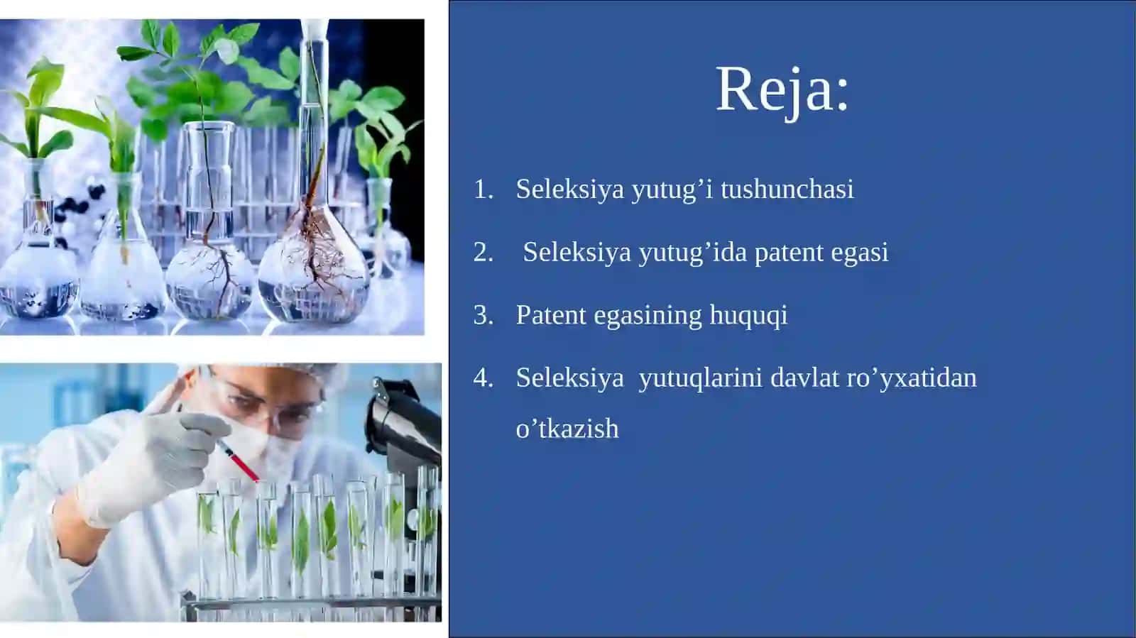 Seleksiya Yutuqlari 2