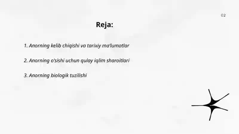 Anor haqida maʼlumot 2