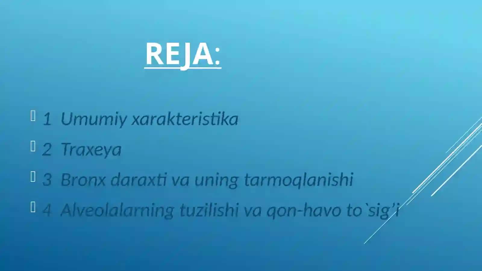 Нафасолиш тизими 2