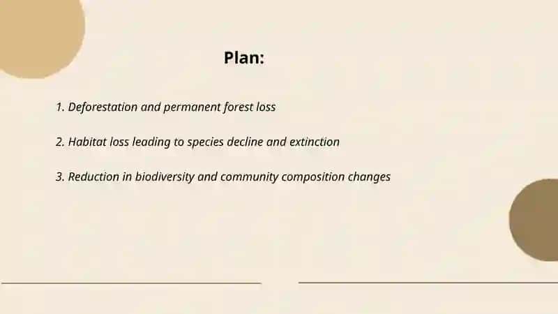 Environment Impact of Logging 2