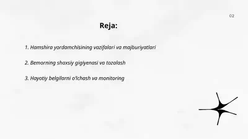 Hamshira yordamchisi 2