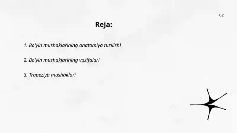 Bo'yin mushaklari 2
