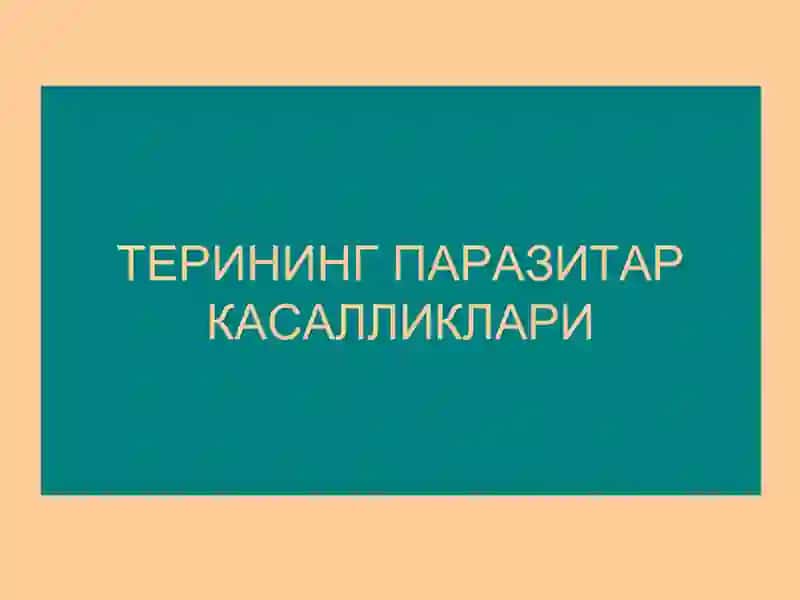 Терининг Паразитар Касалликлари 2