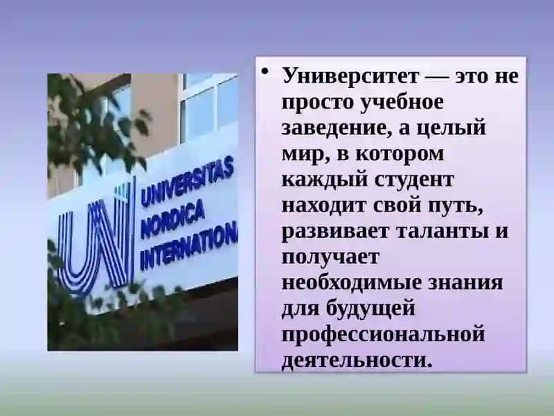 Университет 2