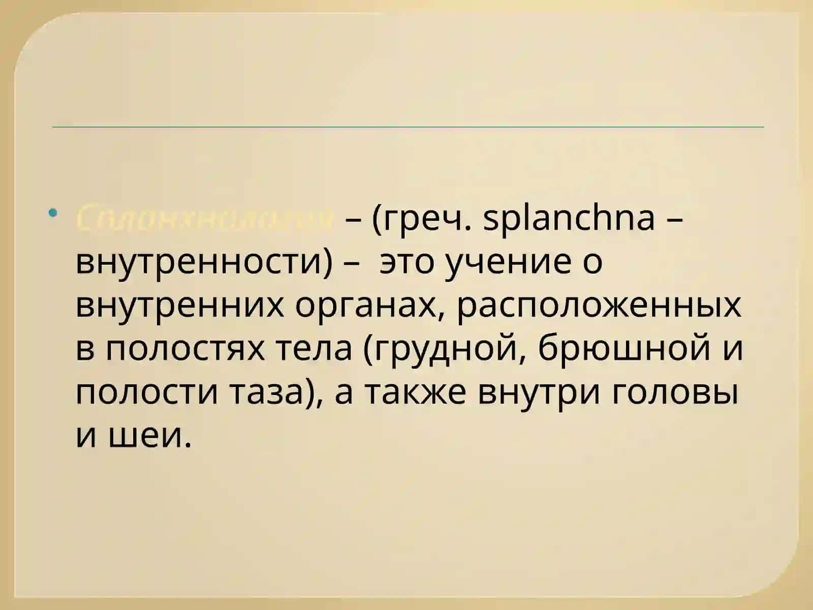 Спланхнология 2