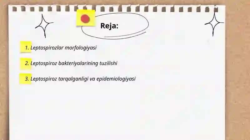 Leptospirozlar Marfalogiyasiy 2