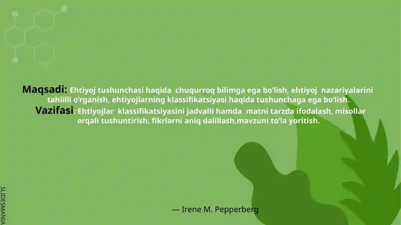 EHTIYOJLAR PIRAMIDASI 2