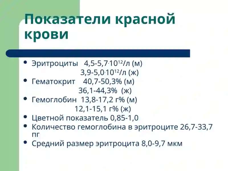 Патофизиология 2