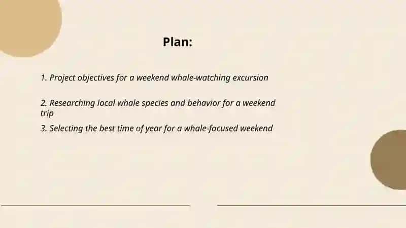 A weekend in Whales 2