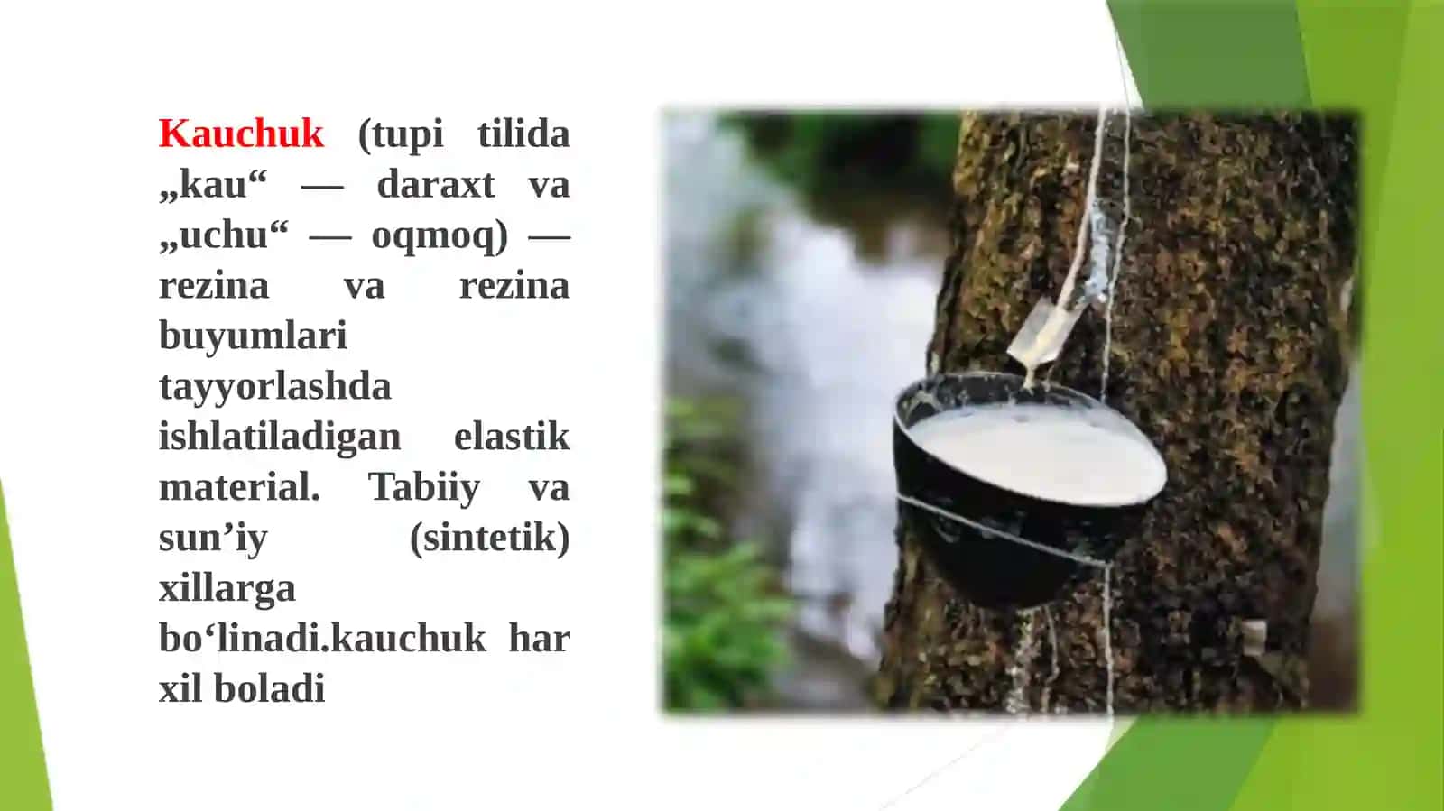 Kauchuk va rezina 2