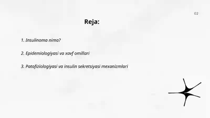 Insulinoma 2