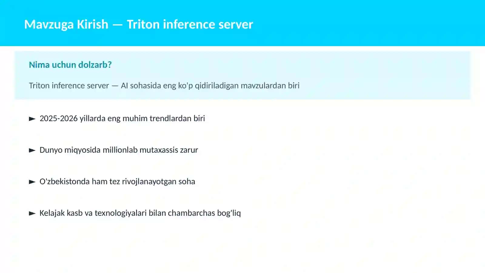 AI | MLOPS VA AI INFRASTRUKTURA 2