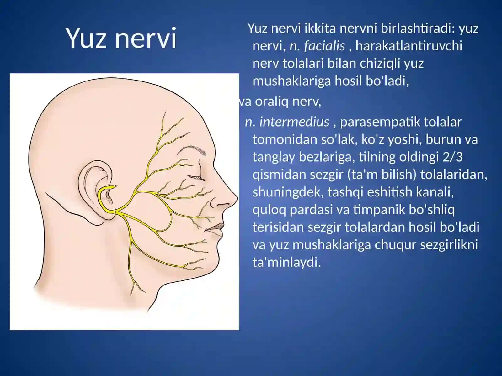 Yuz nervinevriti 2
