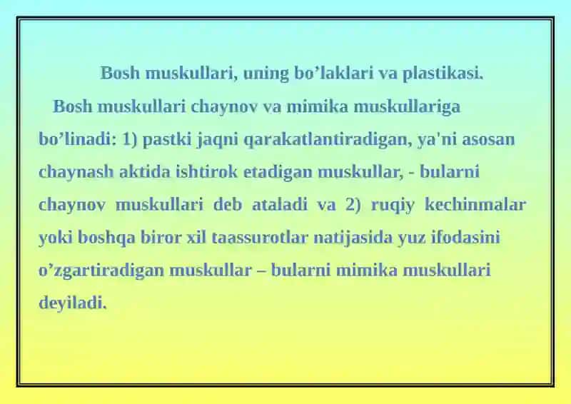 BOSH MUSKULLARI 2