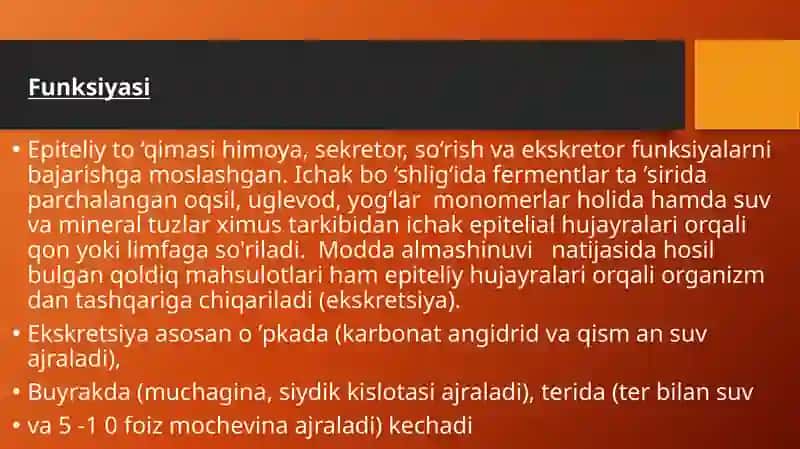 Epiteliytoʻqimasi 2