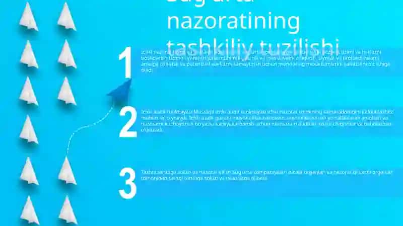 Ichki audit funktsiyasi 2
