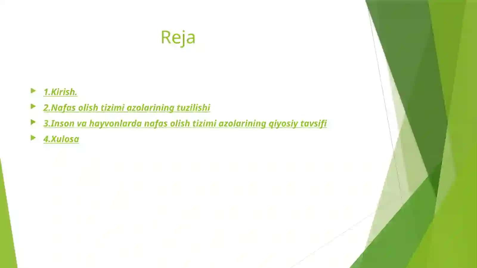 Nafas olish tizimi azolarining qiyosiy gistologik tavsifi 2
