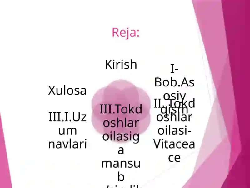 Toknamolar qabilasi 2