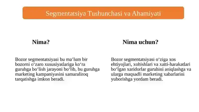 Bozor Segmentatsiyasi: Isteʼmol va Ishlab Chiqarishga Muvaffaq Tovarlar 2