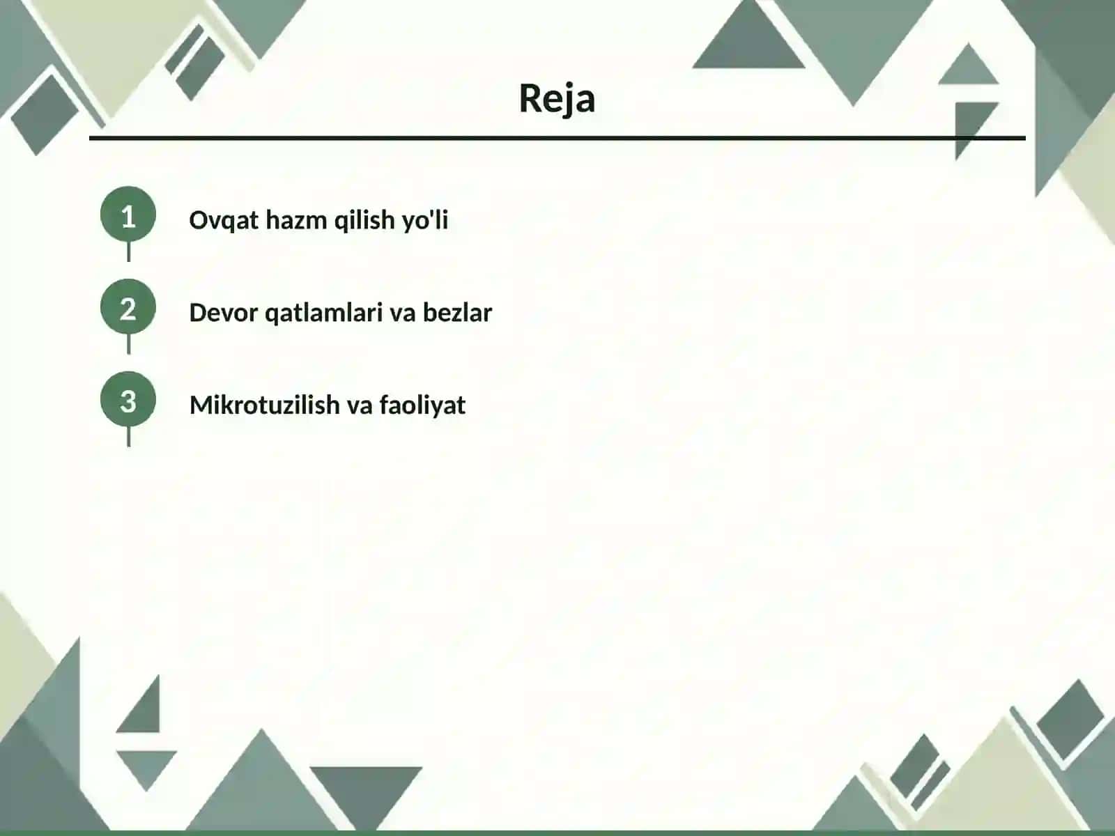 Ovqat hazm qilish tizimi 2
