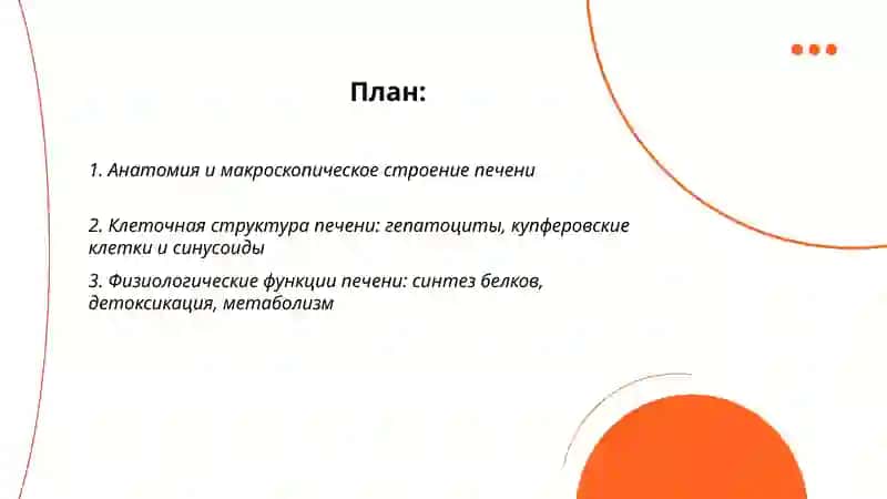 Печень 2