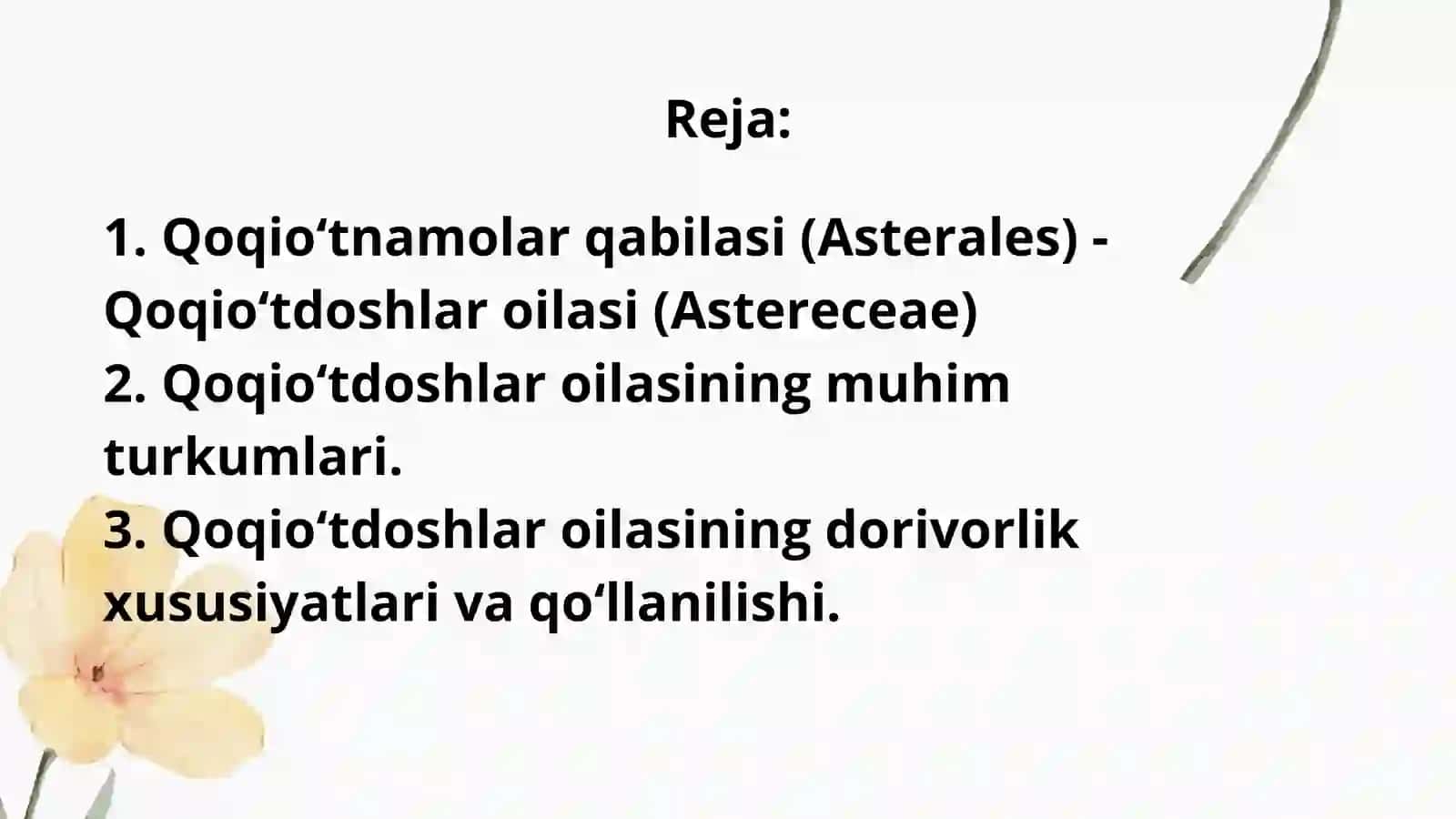 Qoqioʻtnamolarqabilasi (Asterale) 2