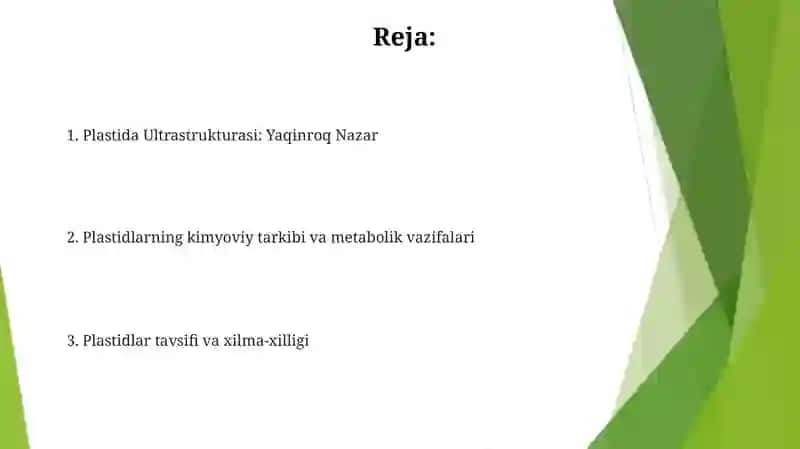 Hujayra plastidalarining tarifi, guruhlari, ultra strukturaviy va kimyoviy tuzilishi 2