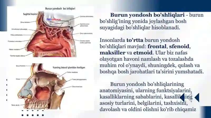 BURUN YONDOSH BO’SHLIQLARINING ORBITAL ASORATLARI 2