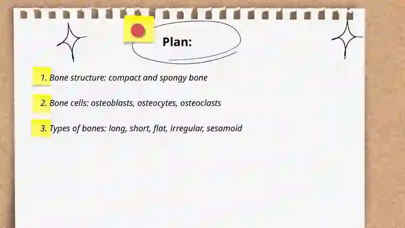 Skeletal systum 2