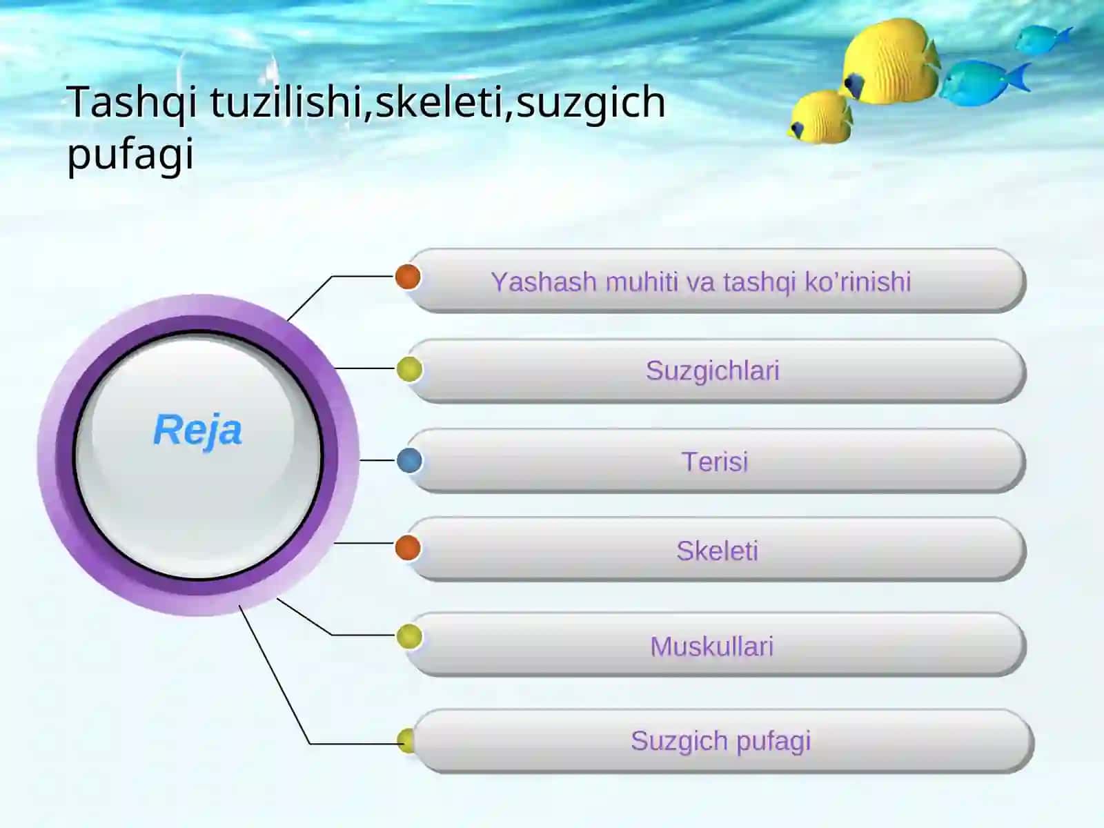 BALIQLAR 2