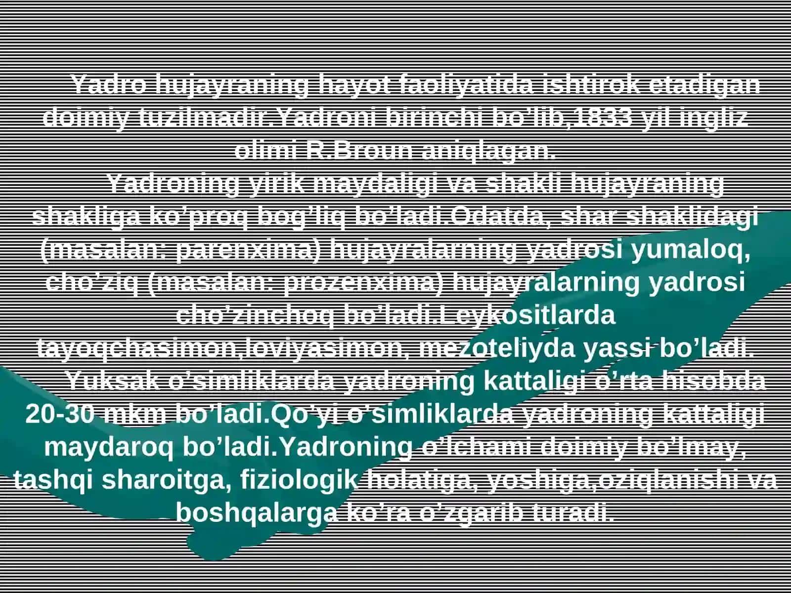 Hujayra yadrosi. Yadrocha 2