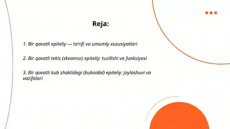 Bir qavatli epiteliy 2