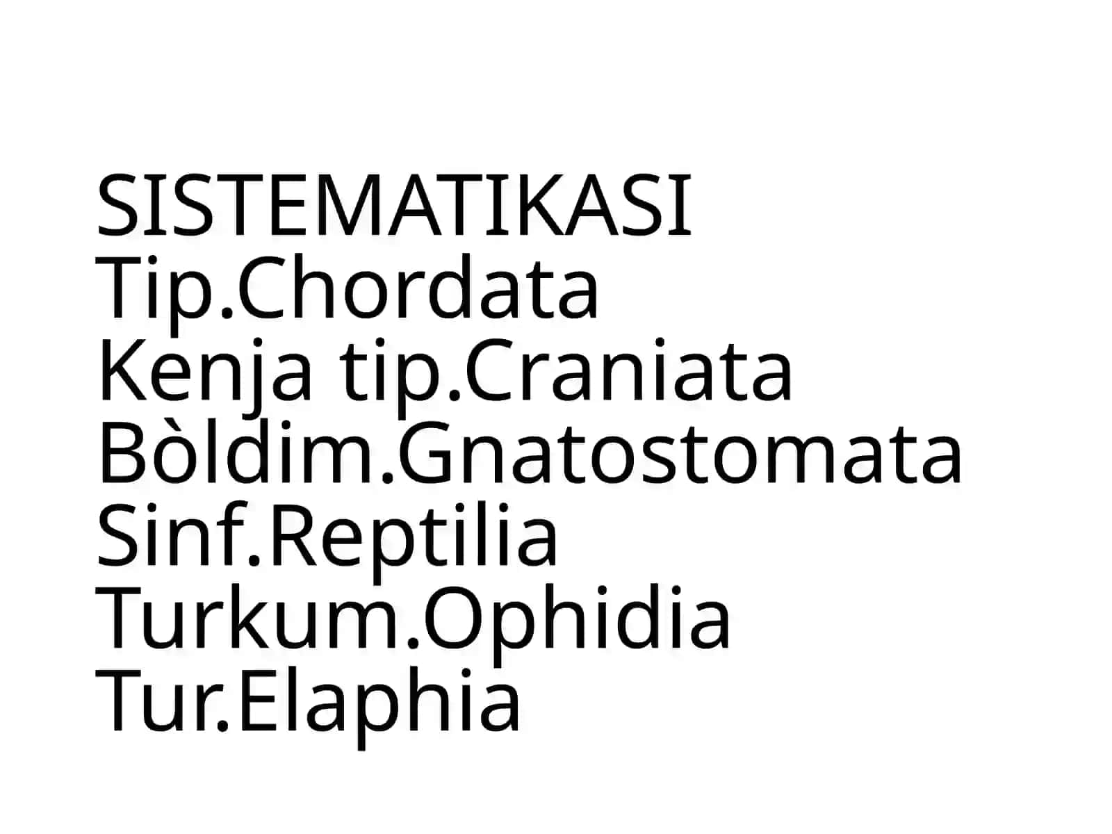 Kattakillbuqa 2