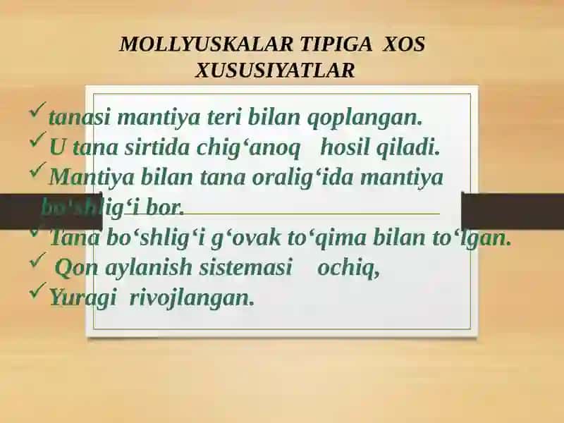 MOLLYUSKALAR TIPI 2