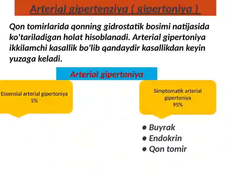 Arterial Gipertenziya 2