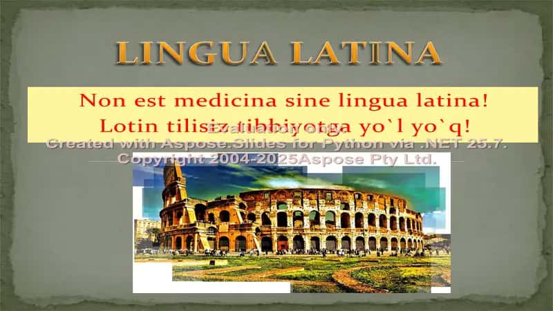 Lingua Latina 2