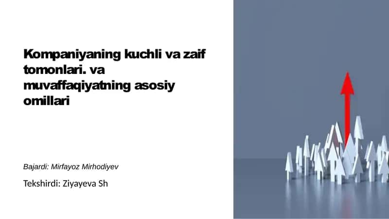 Kompaniyaning kuchli va zaif tomonlari va muvaffaqiyatning asosiy omillari 2