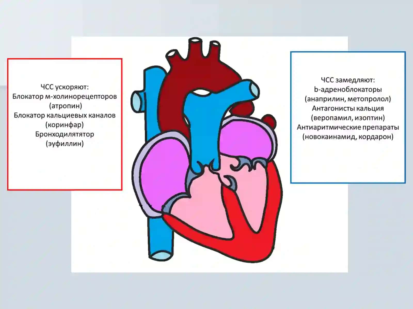 ЭЛЕКТРОКАРДИОГРАФИЯ EKG 2
