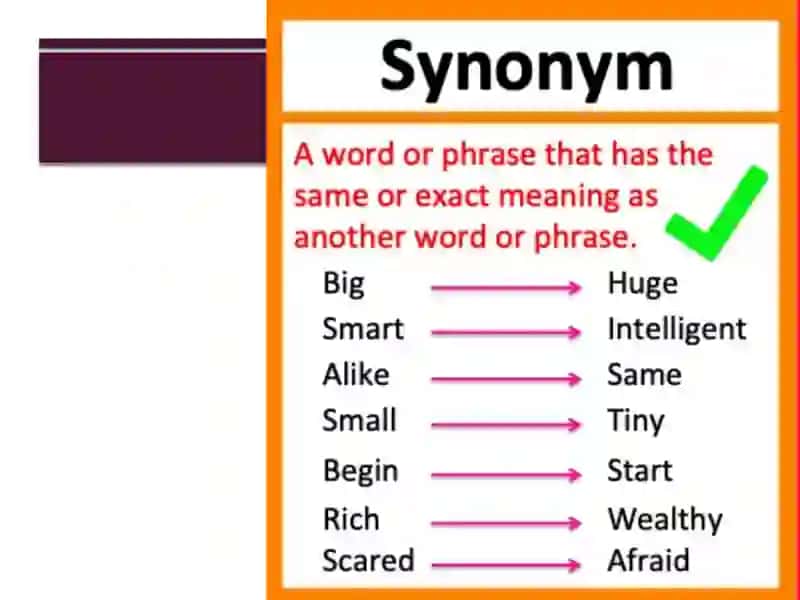 SynonymandAntonym 2