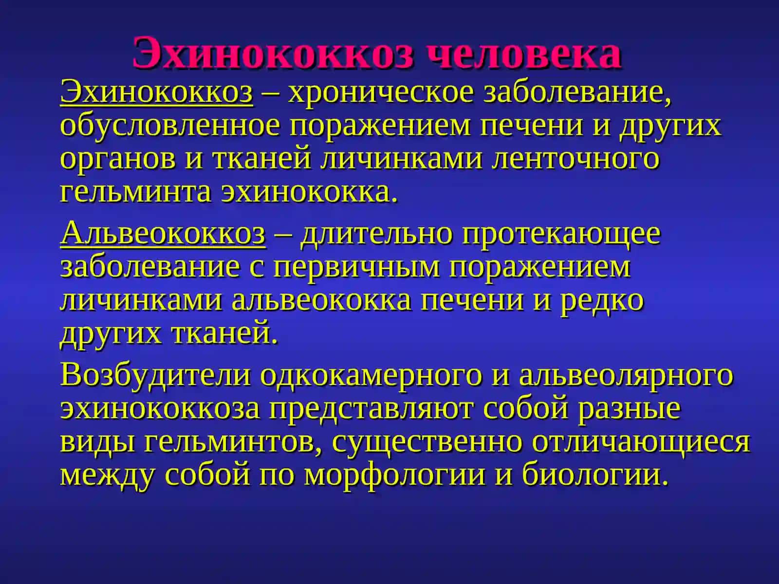 Эхинококкоз 2
