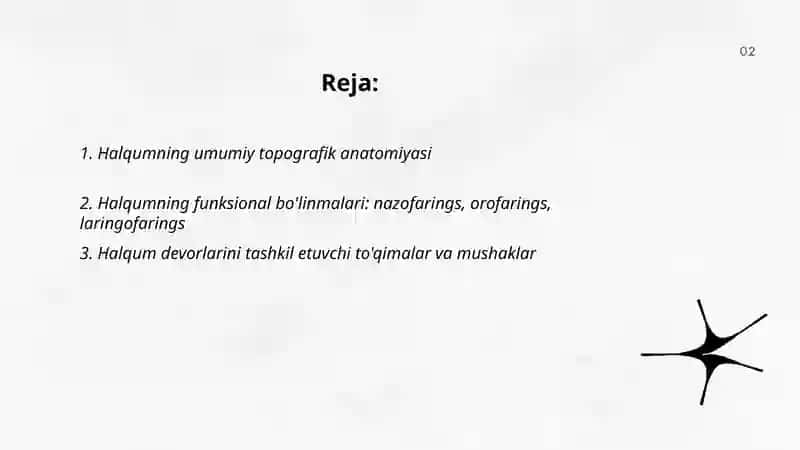 Halqum funksional va topografik anatomiyasi 2