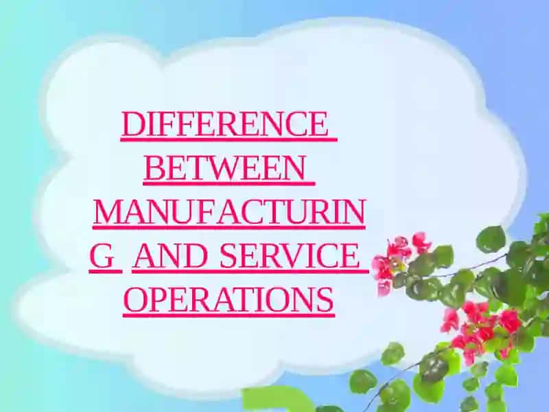 DIFFERENCE BETWEEN MANUFACTURING AND SERVICE OPERATIONS 2
