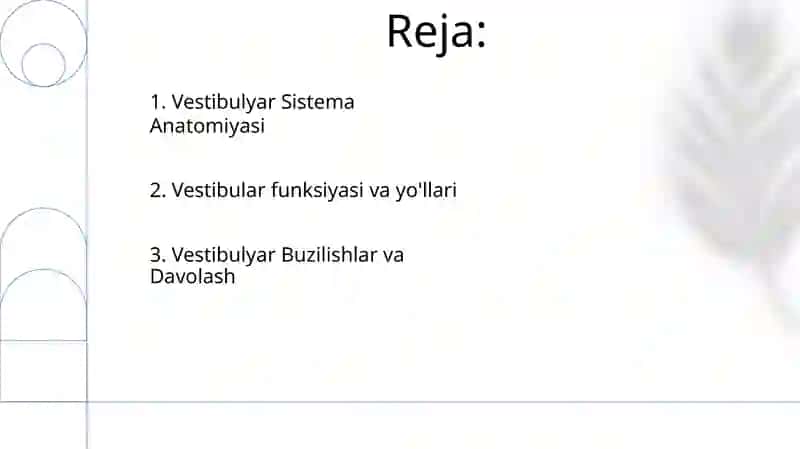 Vestibulyar analizator 2